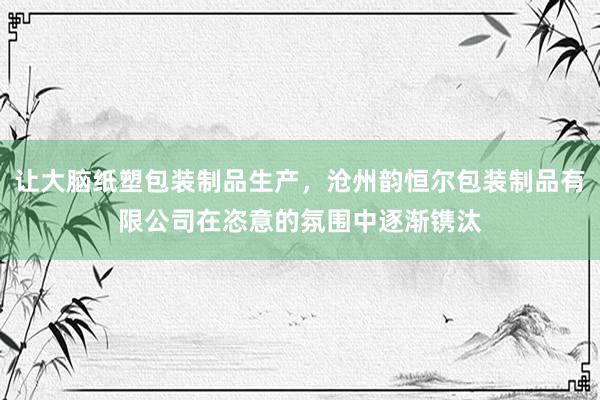 让大脑纸塑包装制品生产，沧州韵恒尔包装制品有限公司在恣意的氛围中逐渐镌汰