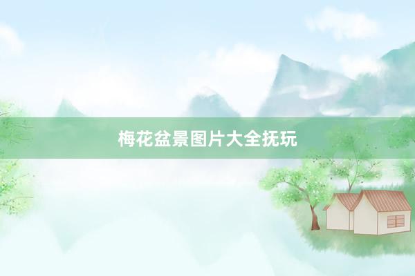 梅花盆景图片大全抚玩