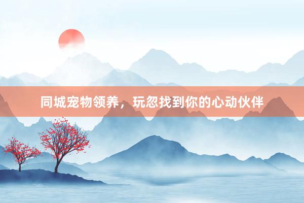 同城宠物领养，玩忽找到你的心动伙伴