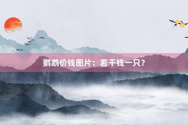 鹦鹉价钱图片：若干钱一只？