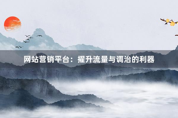 网站营销平台：擢升流量与调治的利器