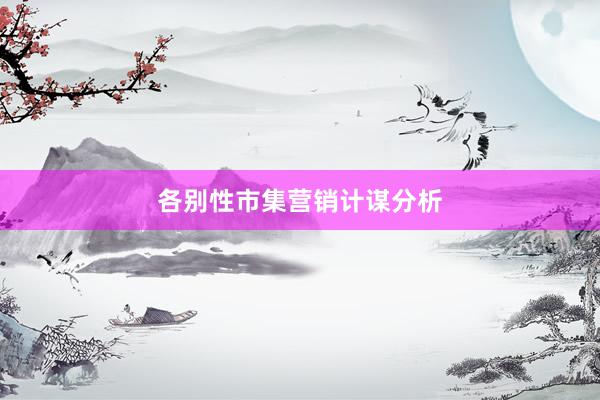 各别性市集营销计谋分析